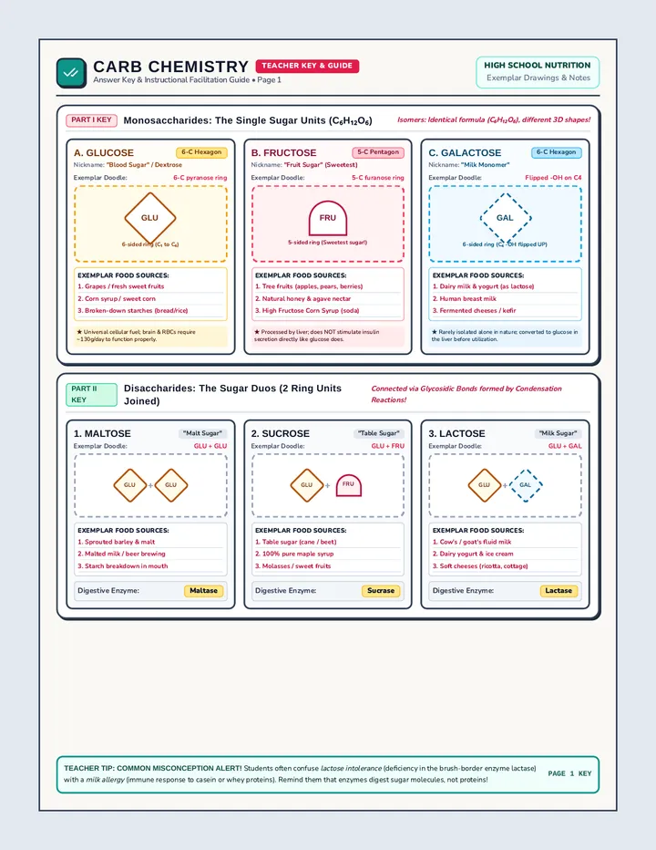 Carb Chemistry Answer Key