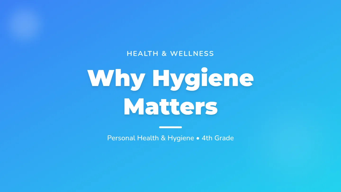 Why Hygiene Presentation Slides