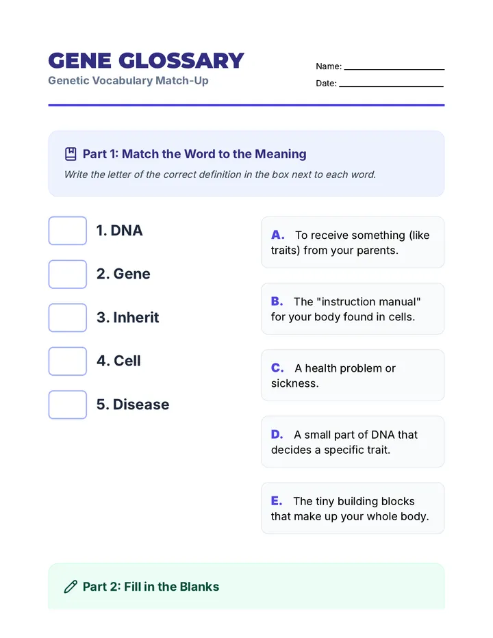 Gene Glossary Worksheet