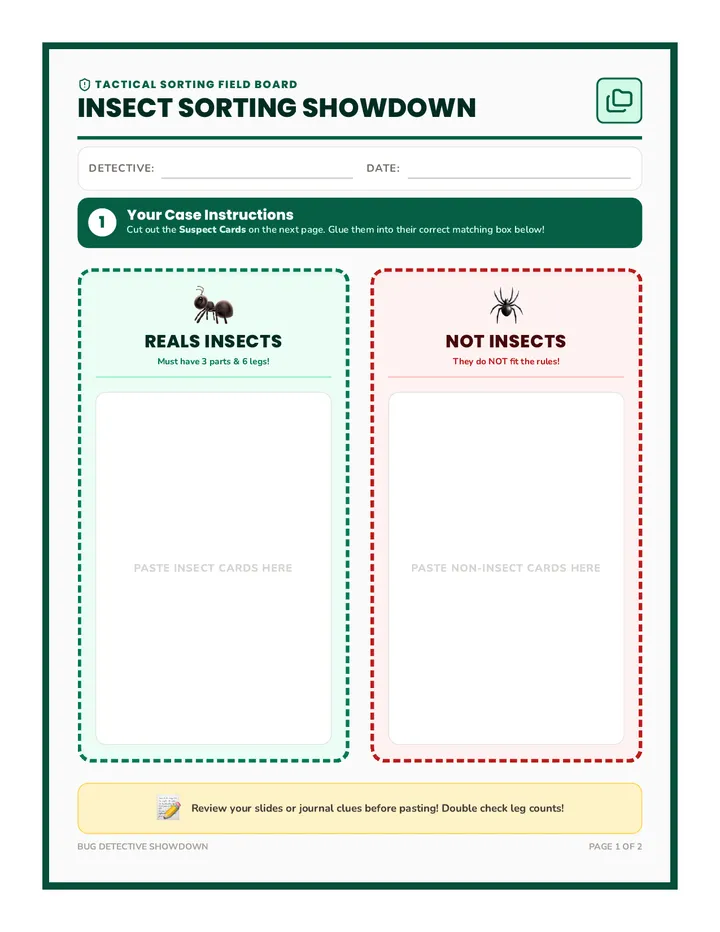 Bug Detectives Sorting Activity