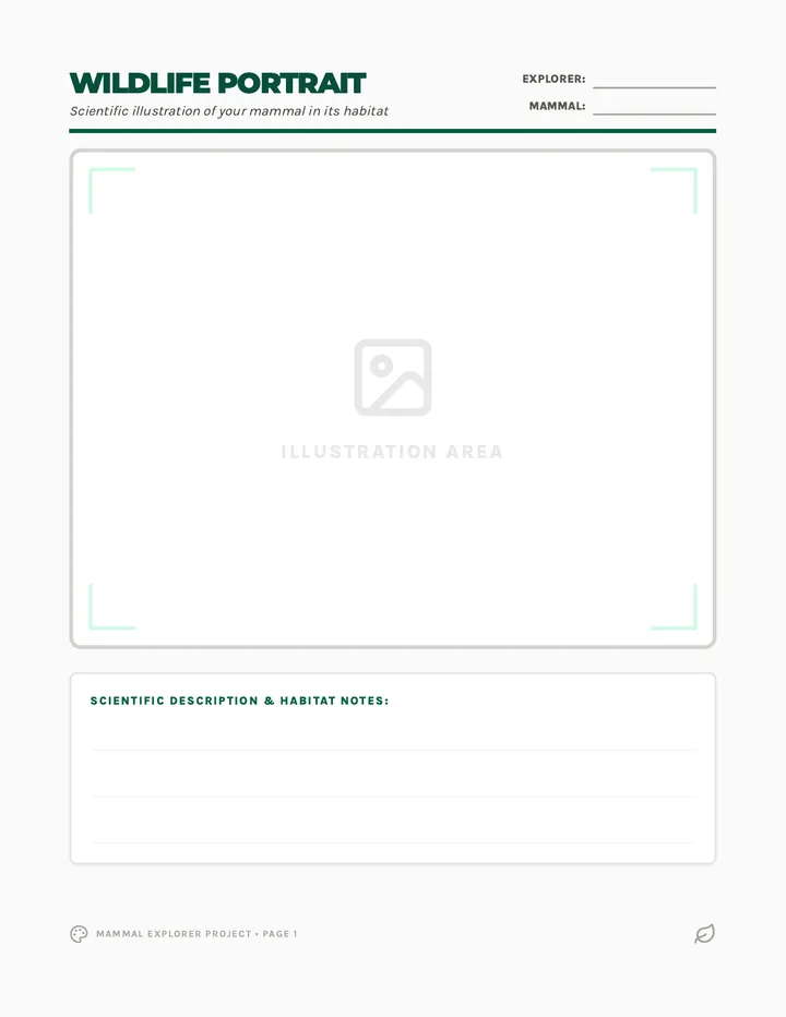 Mammal Explorer Flashcards