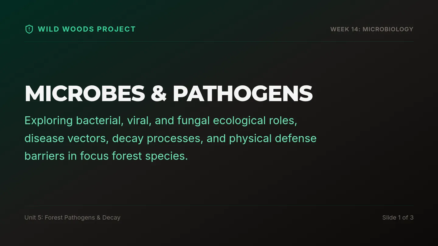 Microbes Pathogens Slides