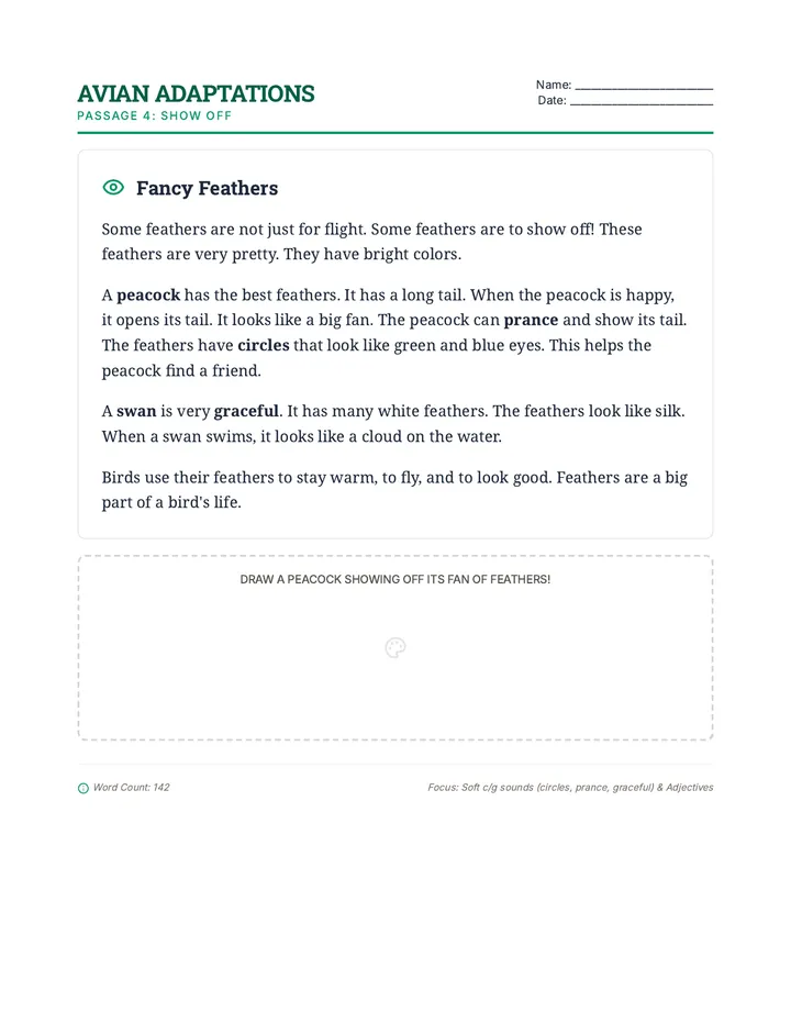 Fancy Feathers Passage 4