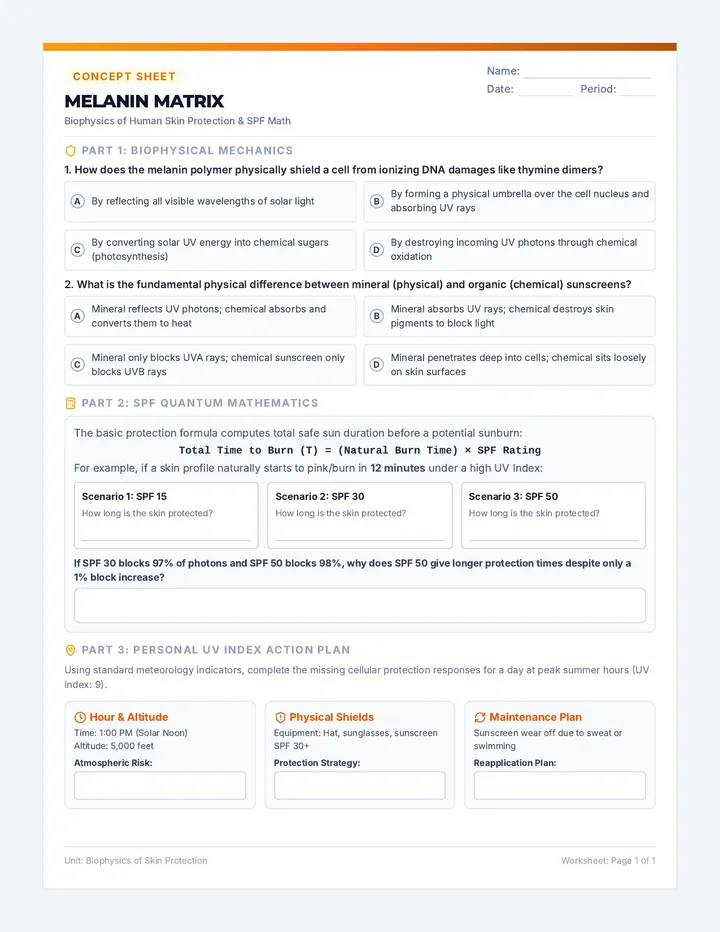 Melanin Matrix Worksheet