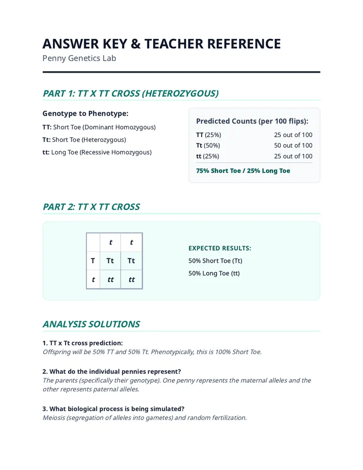 Penny Genetics Answer Key