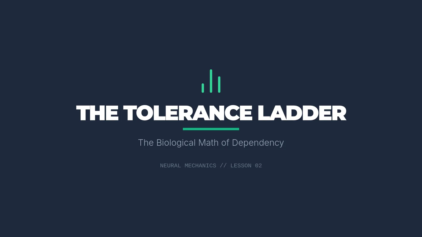 The Tolerance Ladder Slides