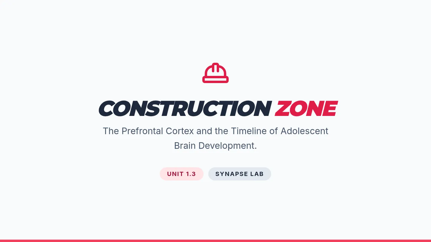 Construction Zone Slides