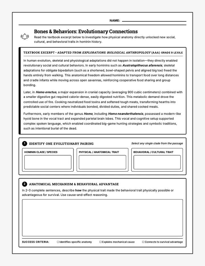 Hominin Adaptations Bellringer Worksheet