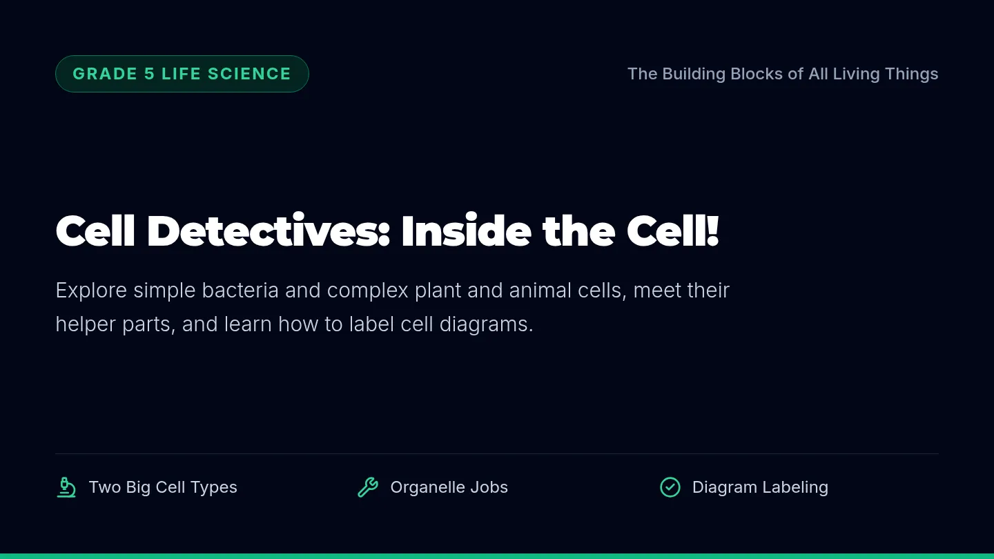 Cell Architecture Slides