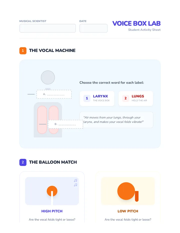 Voice Box Worksheet