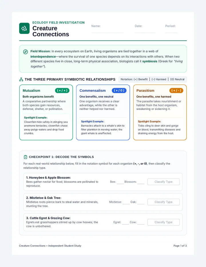 Creature Connections Activity Packet