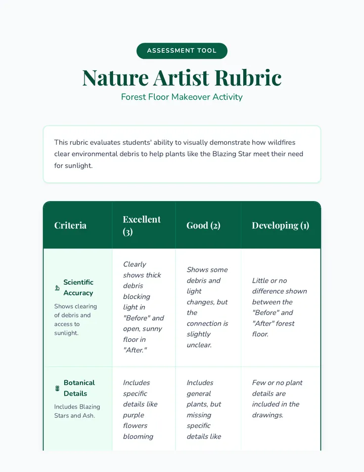Makeover Rubric