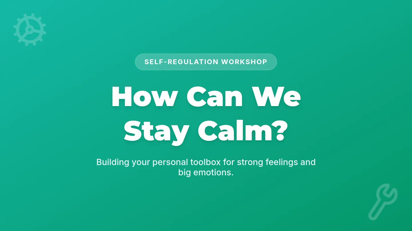 Self Regulation Slides