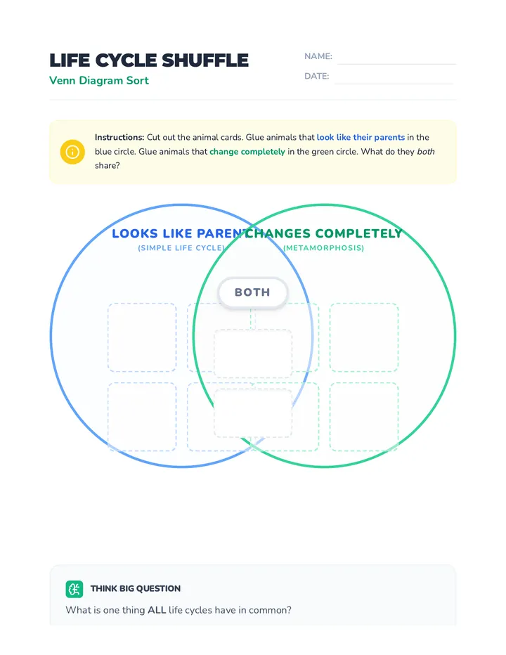 Shuffle Diagram Worksheet