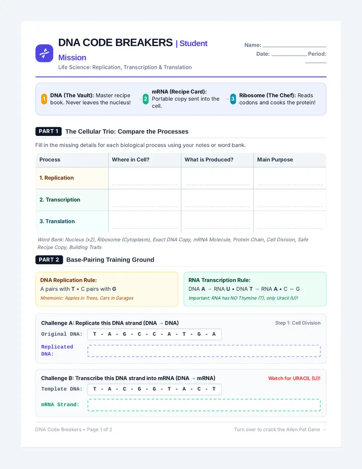 Code Breakers Worksheet