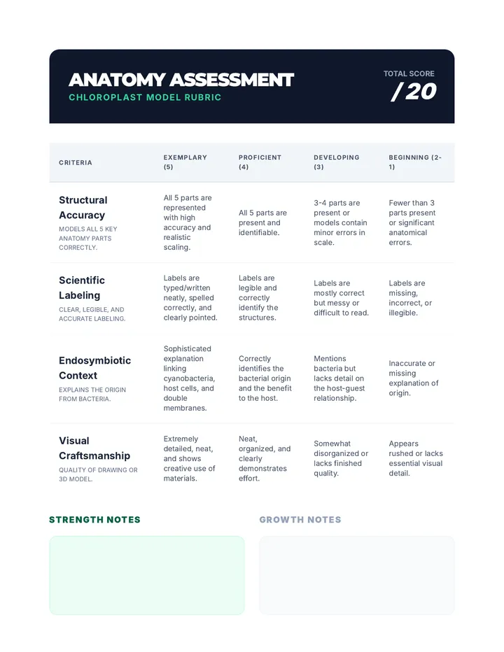 Anatomy Assessment Rubric