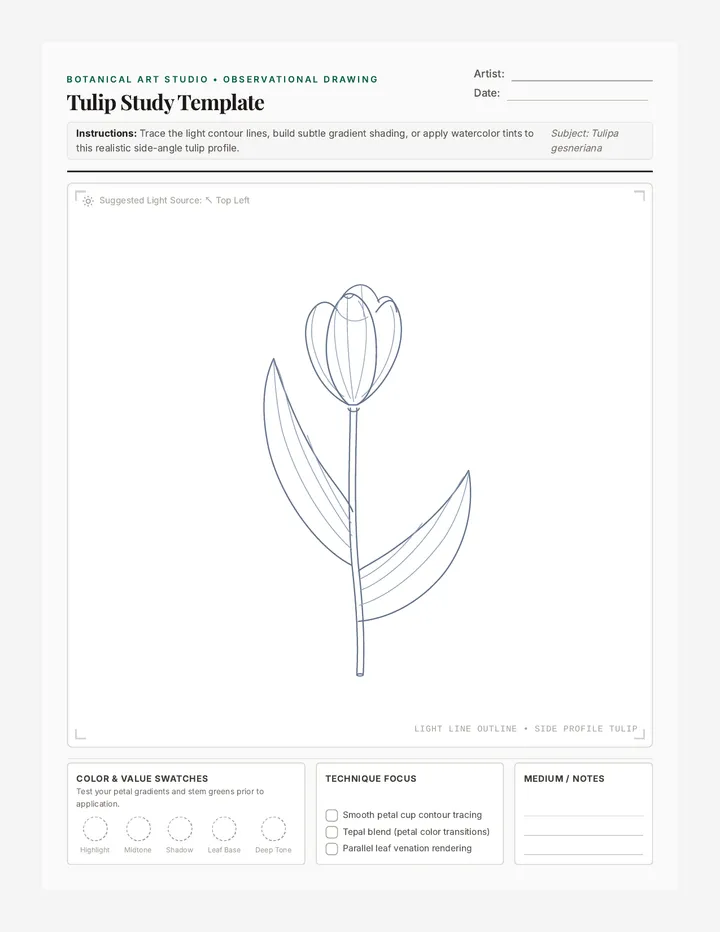 Tulip Study Template