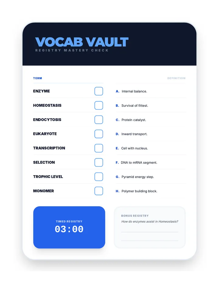 Vocab Vault Activity