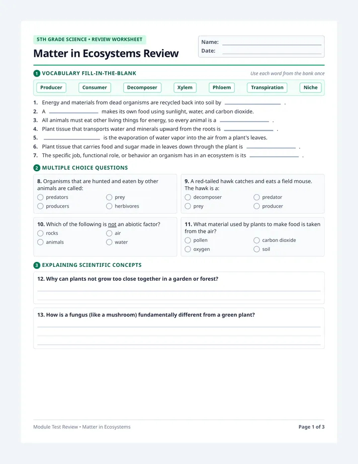 Ecosystem Review Worksheet