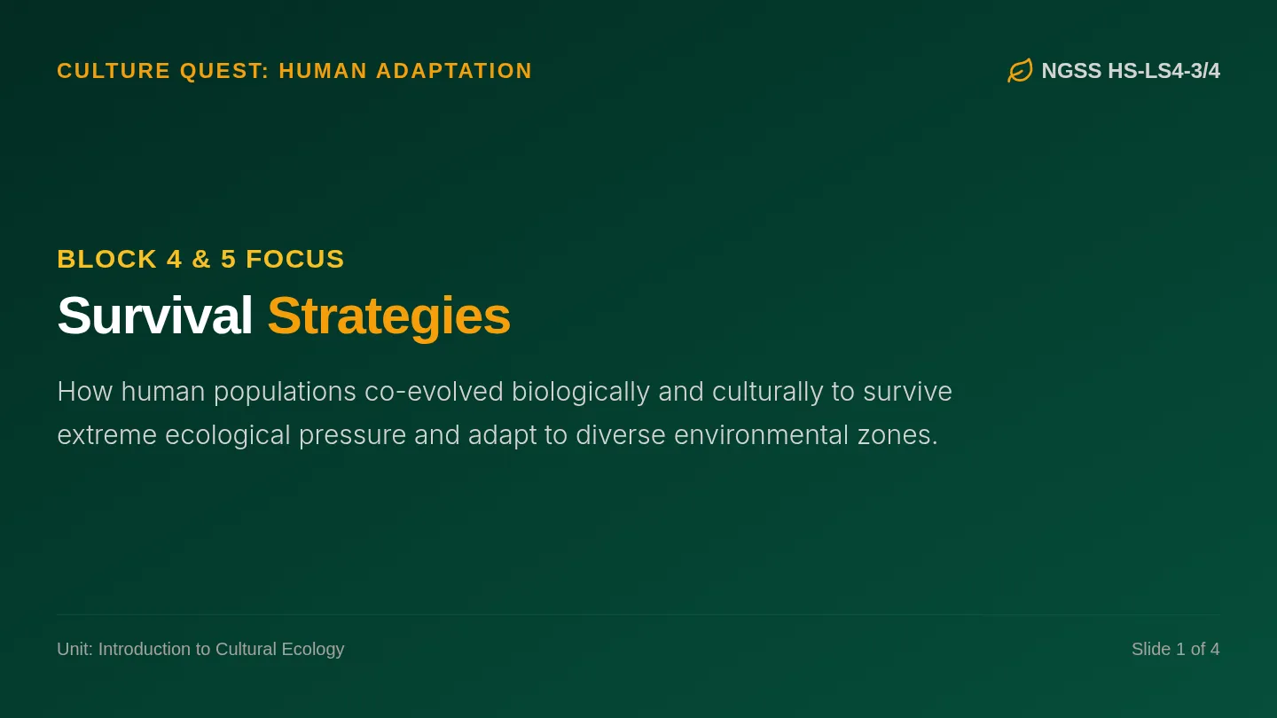 Survival Strategies Slides