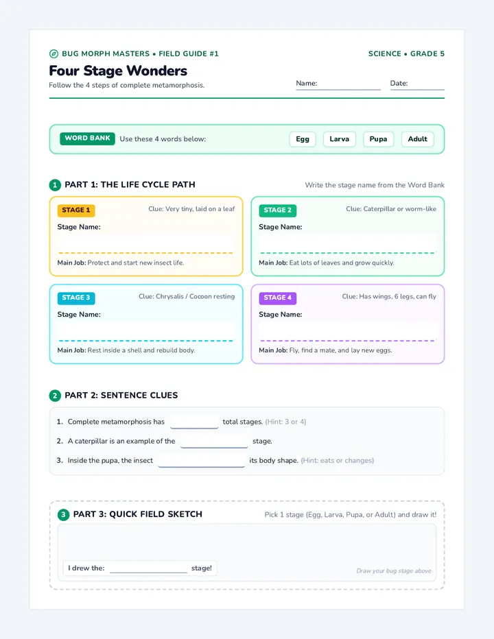 Four Stages Worksheet