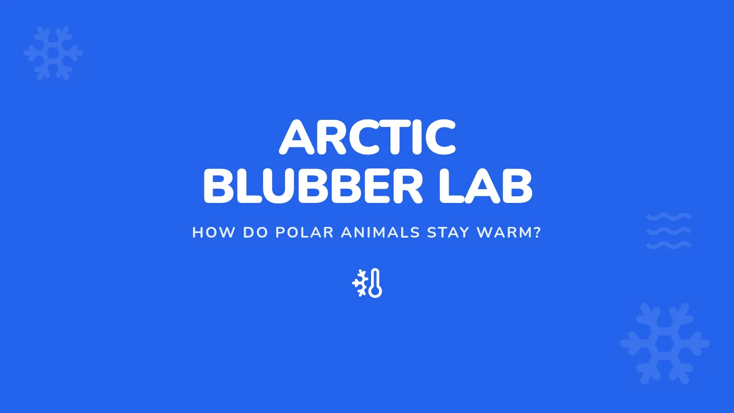 Arctic Blubber Lab Slides