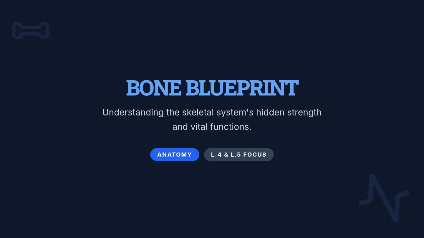 Bone Blueprint • Lesson • Lenny.com