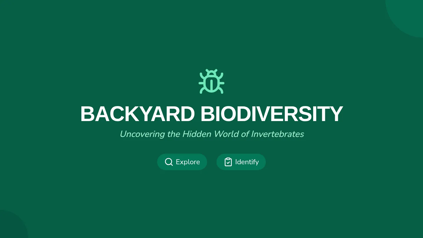 Backyard Biodiversity Slides