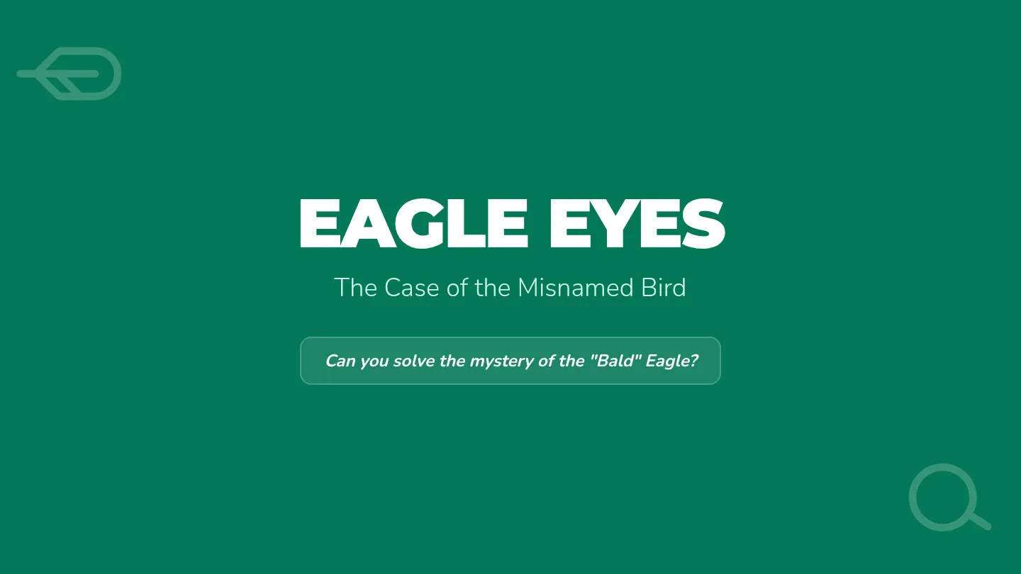 Eagle Eyes Presentation
