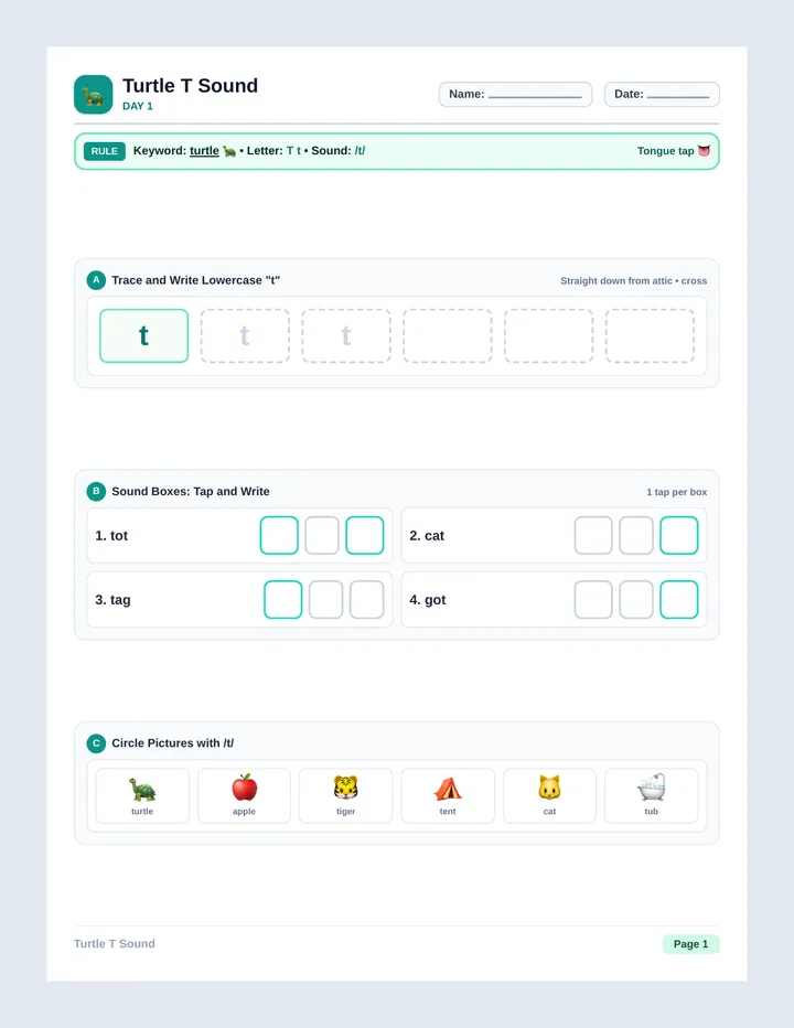Turtle T Worksheet