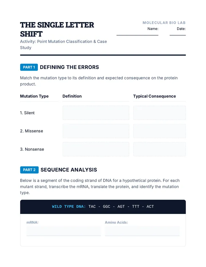 Single Letter Shift Worksheet