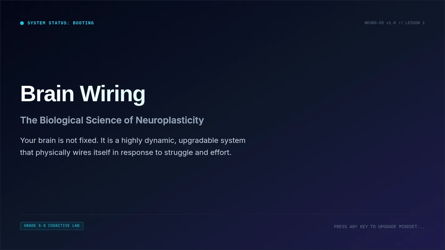 Brain Wiring Slides