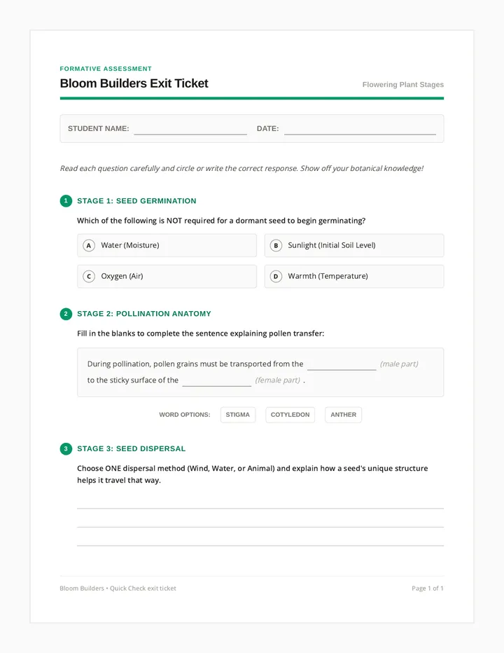 Bloom Builders Exit Ticket
