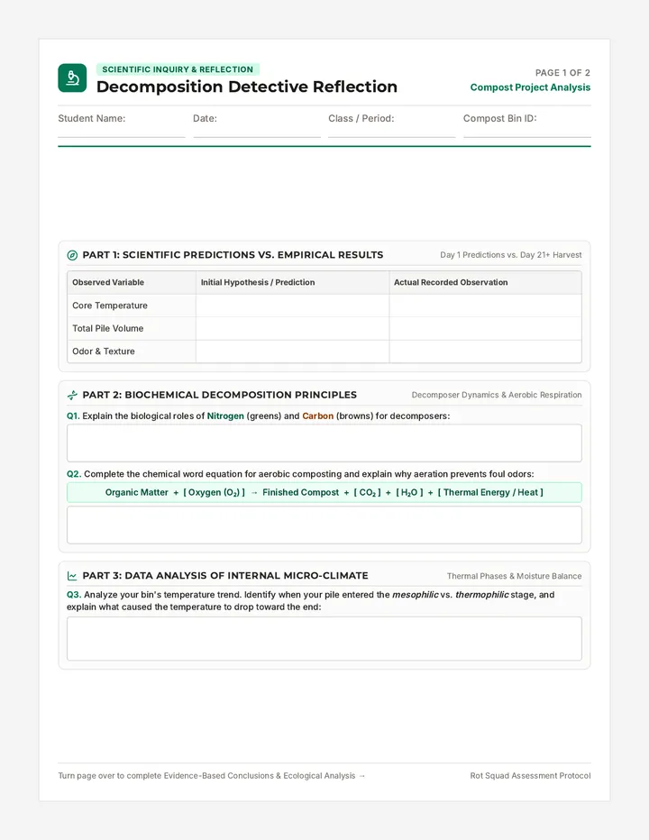 Decomposition Detective Reflection Worksheet