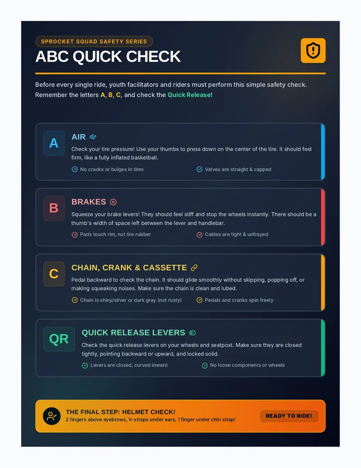 ABC Quick Check Poster