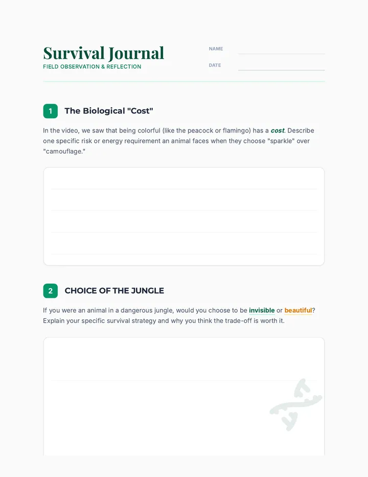Nature Reflection Journal