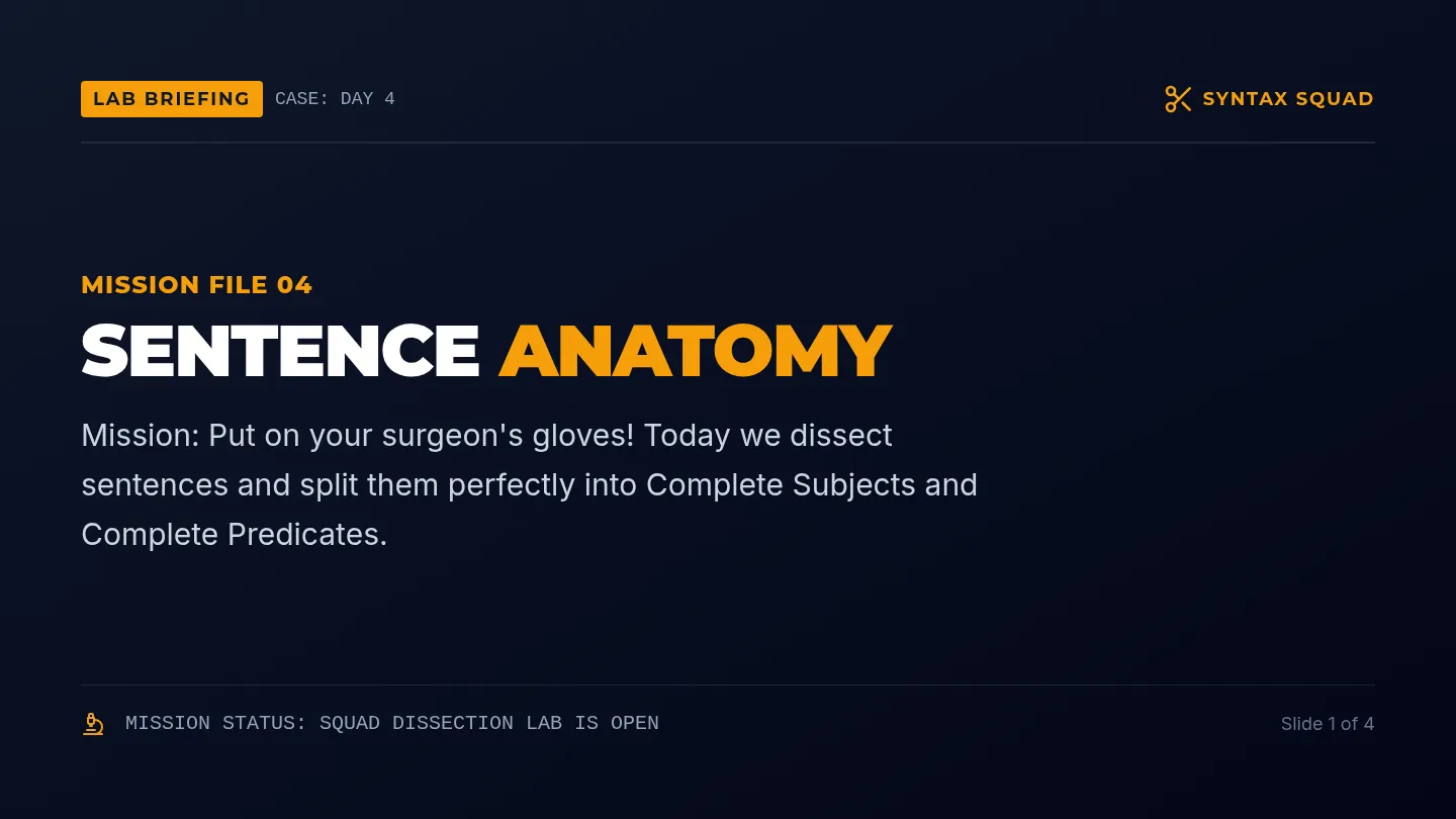 Sentence Anatomy Slides