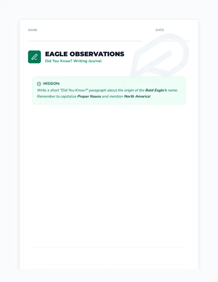Eagle Observations Lined Paper