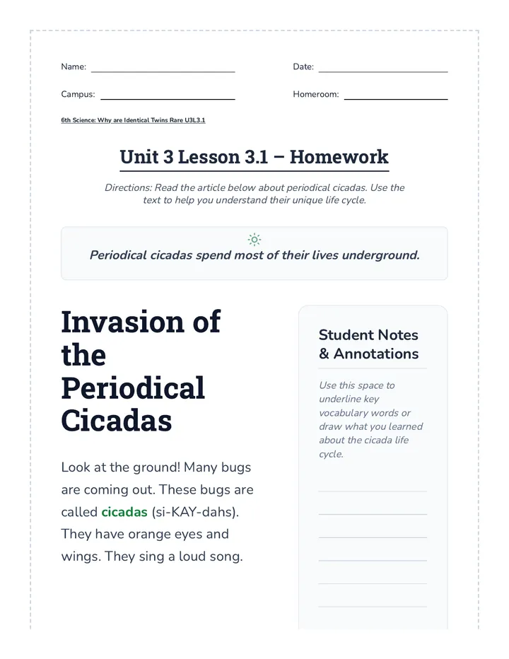 Cicada Invasion Homework K Level Document