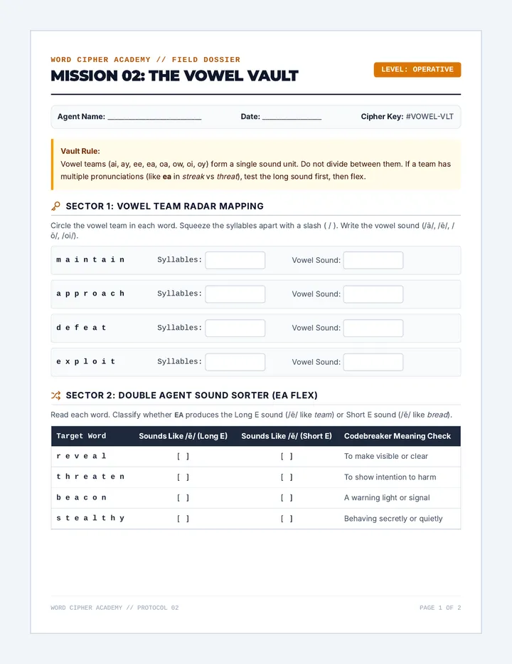 Vowel Pattern Decoder Worksheet