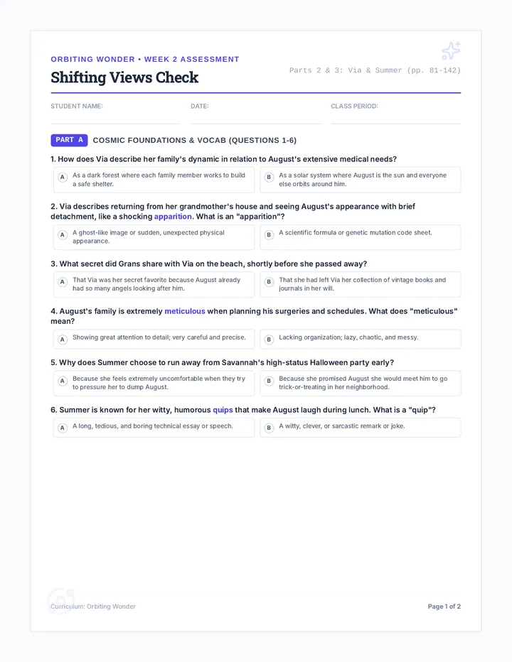 Shifting Views Check Worksheet