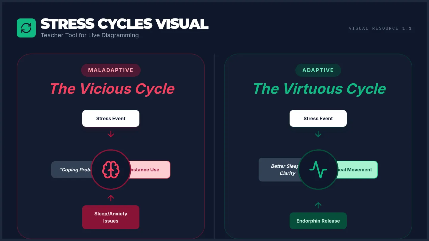 Stress Circuit Visuals