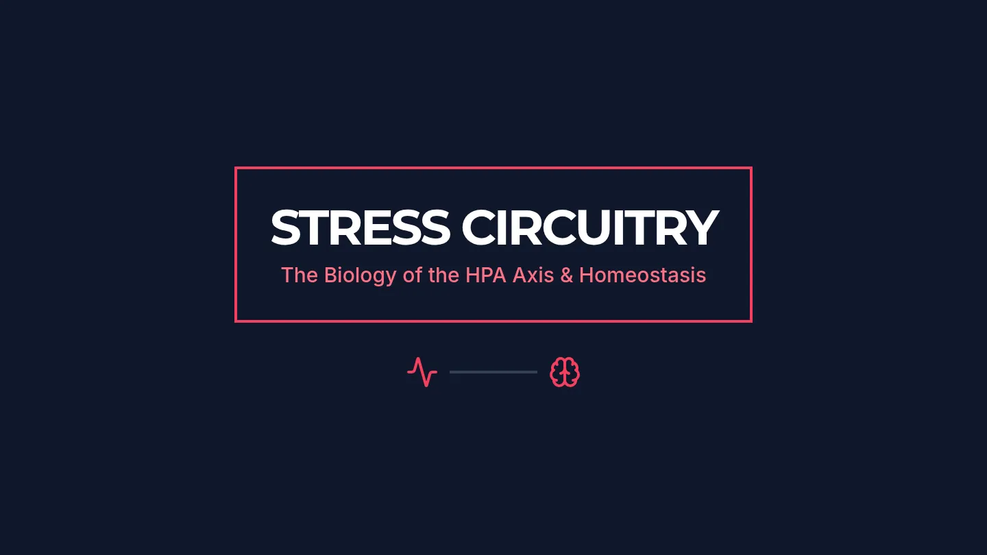Stress Circuitry Slides