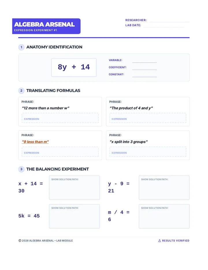 Algebra Experiment Worksheet