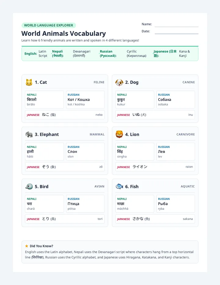 World Animals Worksheet