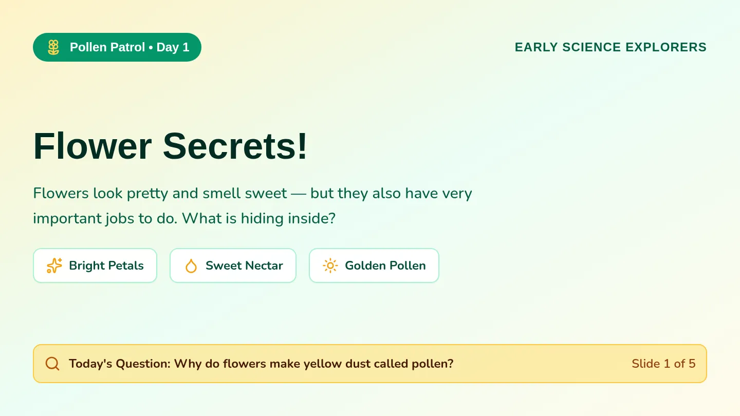 Flower Secrets Slides