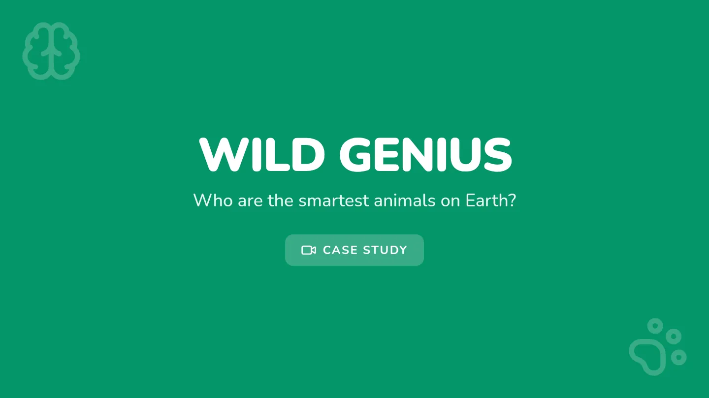 Wild Genius Slides