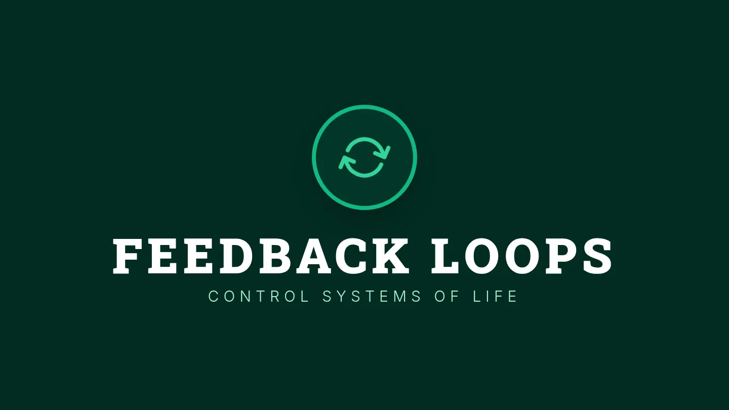Feedback Control Slides