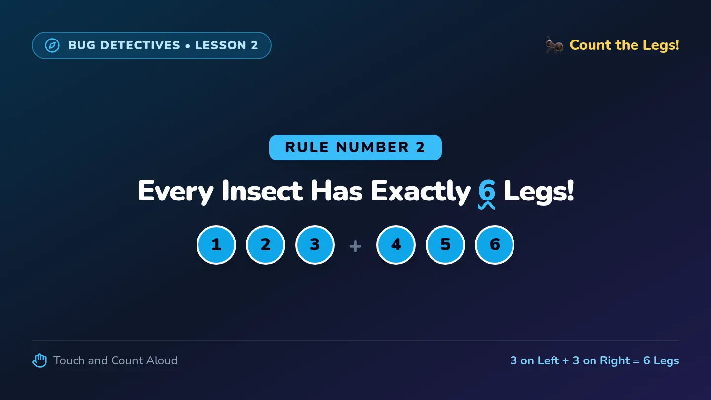 Legs and Feelers Slide Deck