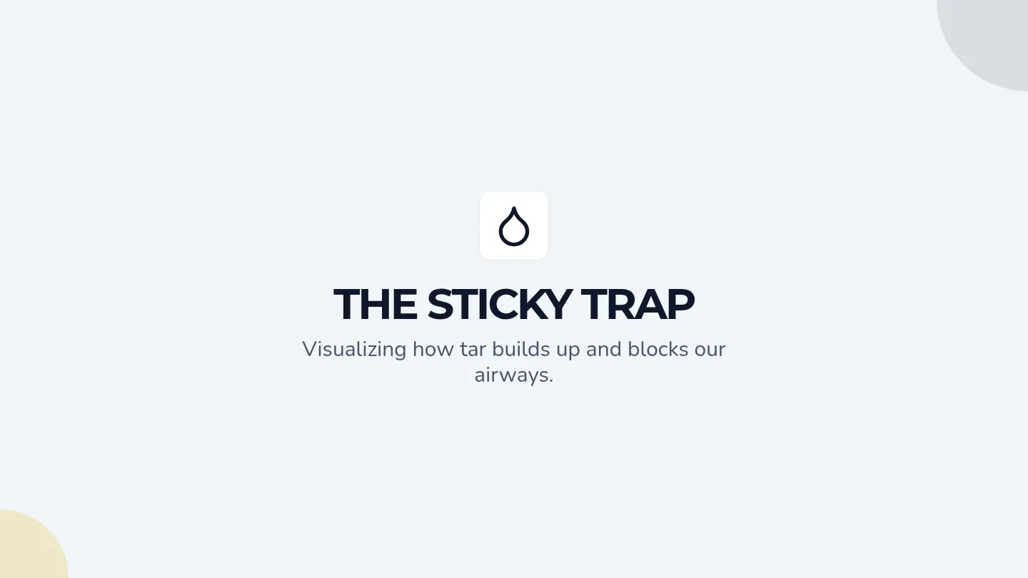 Sticky Trap Slides